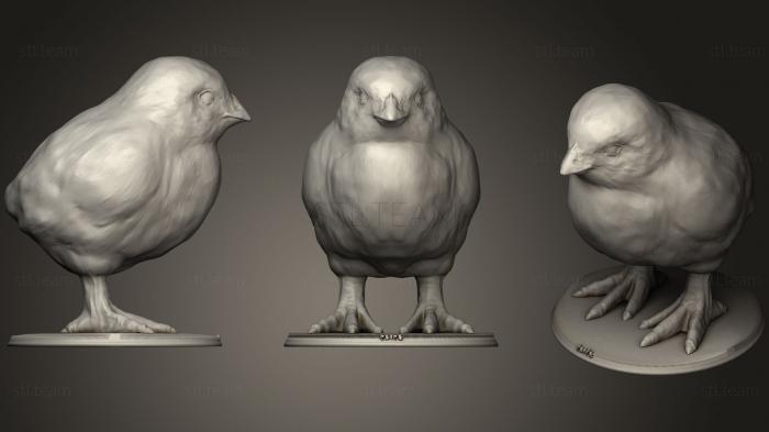 3D model Realistic Chick (STL)
